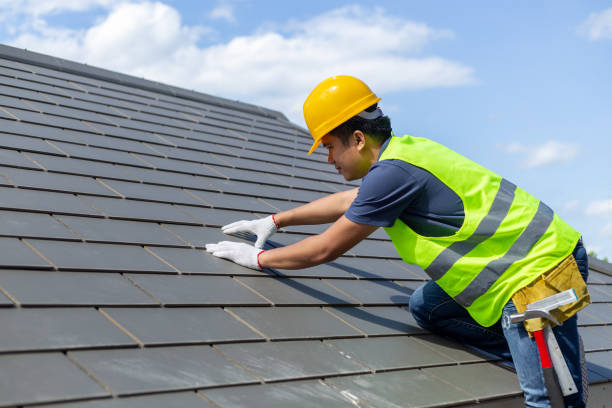 Best Roof Gutter Cleaning  in Tigerville, SC
